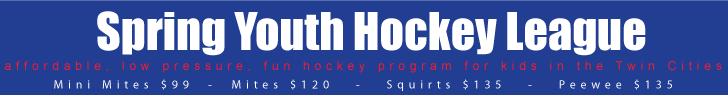 youth hockey league banner